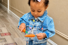 Wonder-angels-day-care-8